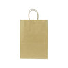 SMALL 9.6" x 13.4" x 5.3" Brown Paper Shopping Bag 250/CS