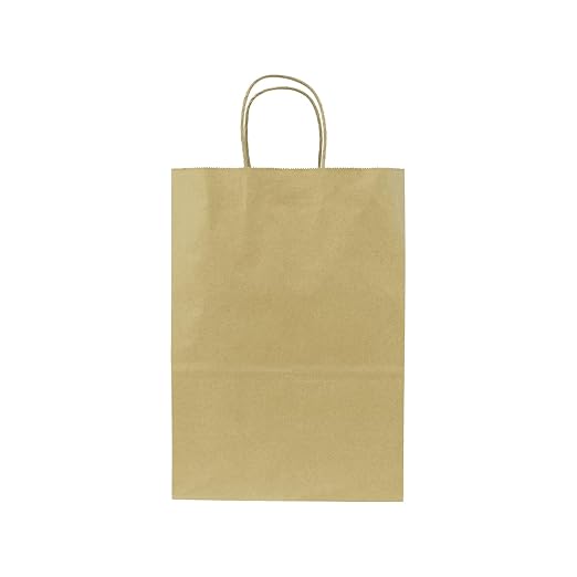 SMALL 9.6" x 13.4" x 5.3" Brown Paper Shopping Bag 250/CS