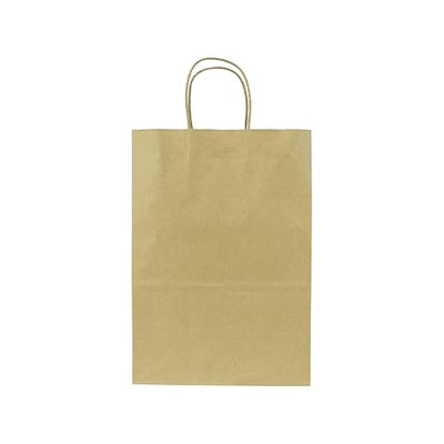 SMALL 9.6" x 13.4" x 5.3" Brown Paper Shopping Bag 250/CS