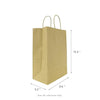 SMALL 9.6" x 13.4" x 5.3" Brown Paper Shopping Bag 250/CS