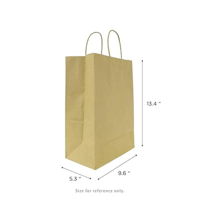 SMALL 9.6" x 13.4" x 5.3" Brown Paper Shopping Bag 250/CS