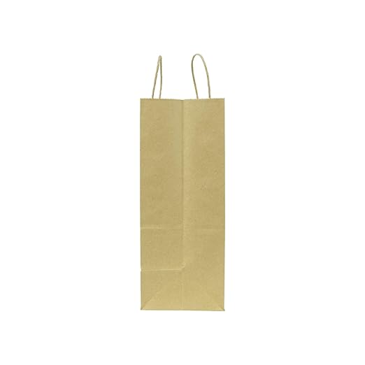 SMALL 9.6" x 13.4" x 5.3" Brown Paper Shopping Bag 250/CS
