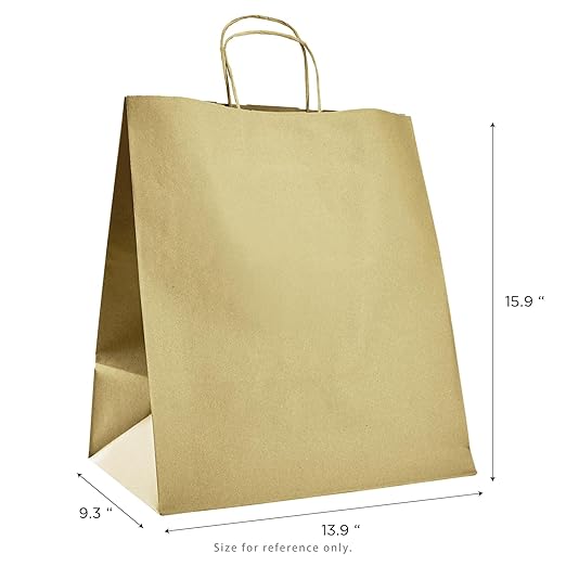 LARGE 13.9” x 15.9” x 9.3" Natural Brown Paper Shopping Bag with Handles 200/CS