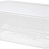 Karat 9"x5" Clear PET Hinged Food Containers - 250/CASE