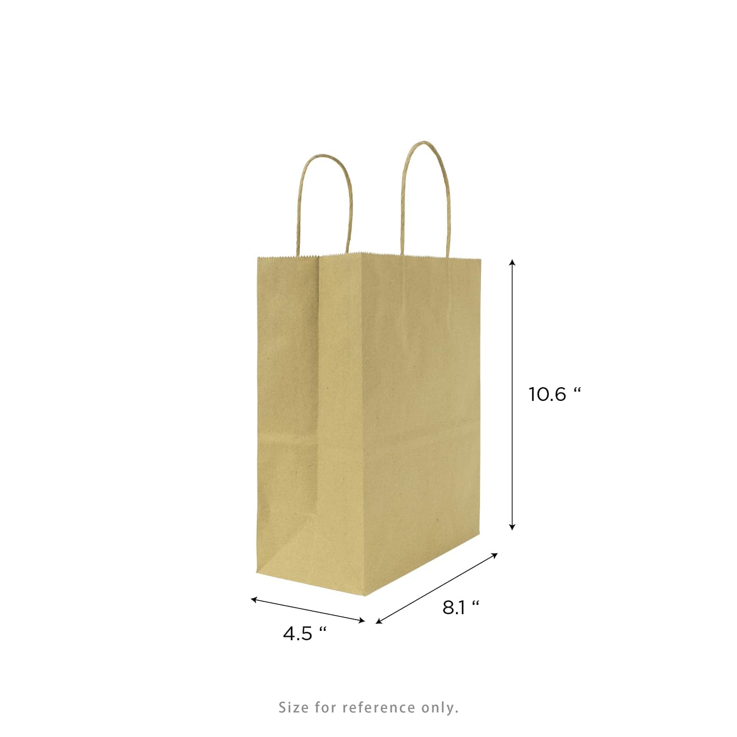 MINI 8.1"x10.6"x4.5" Brown Paper Shopping Bag 250/CS