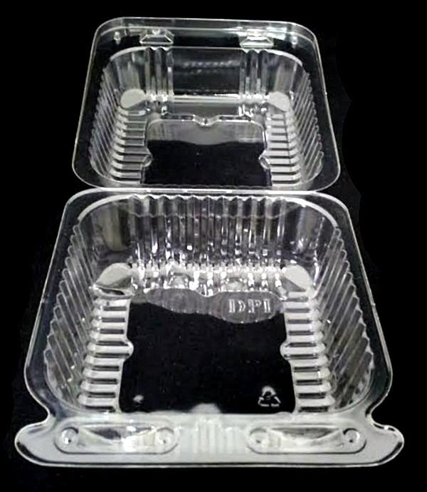 6" Large Square Clear Hinged Container