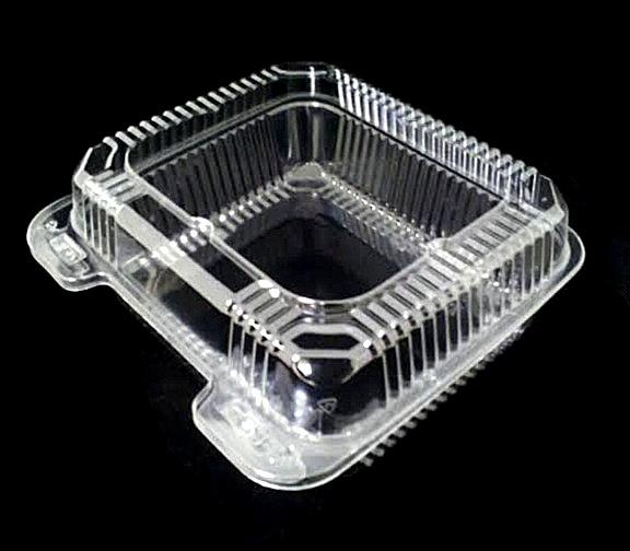 8" Deep Clear Hinged Container