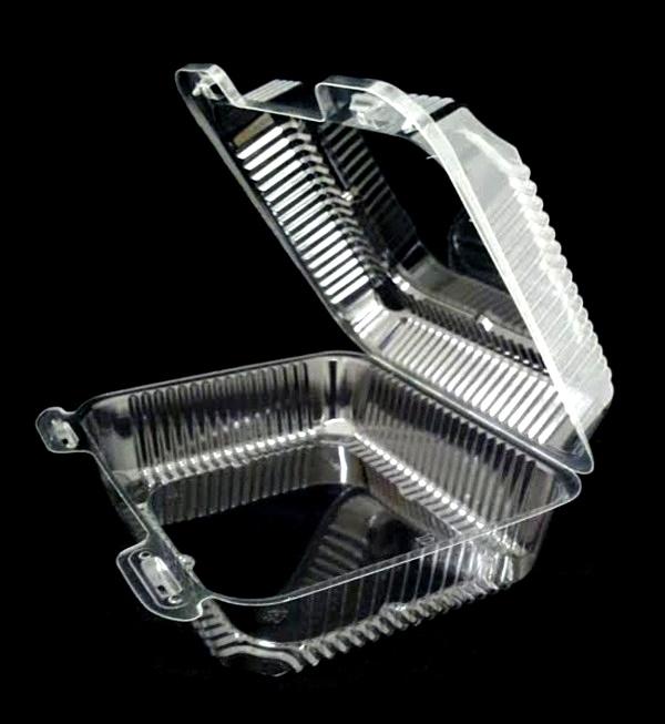 8" Deep Clear Hinged Container