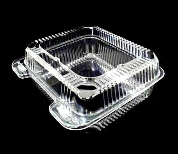 8" Deep Clear Hinged Container